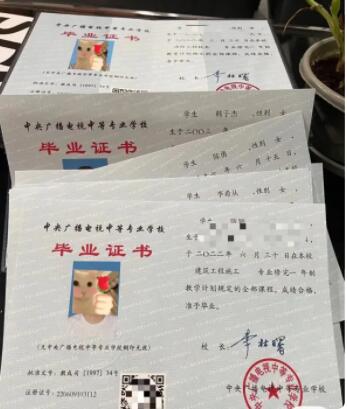 電大中專